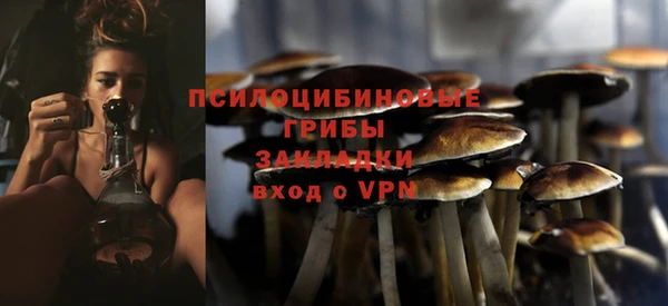 ГАЛЛЮЦИНОГЕННЫЕ ГРИБЫ Надым